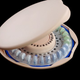 Illustration for article titled Does The Pill Make Sex Terrible?